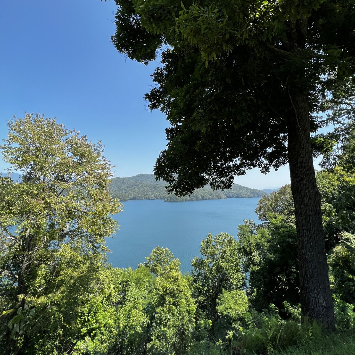 Bryson City Influencer Campaign