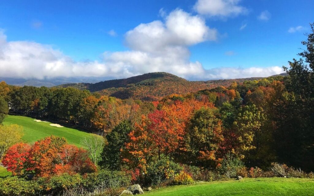 Beech Mountain e-newsletter program
