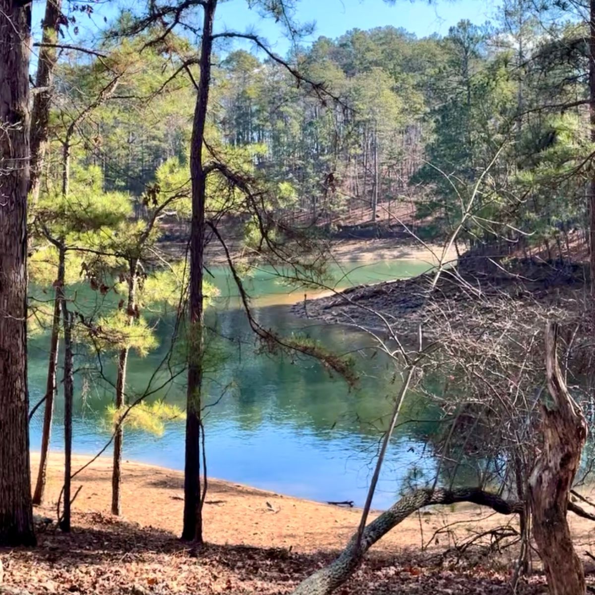 GA State Parks Lesser Known Campaign