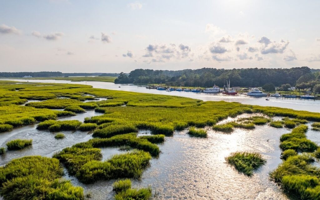 NC Brunswick Islands - Taste