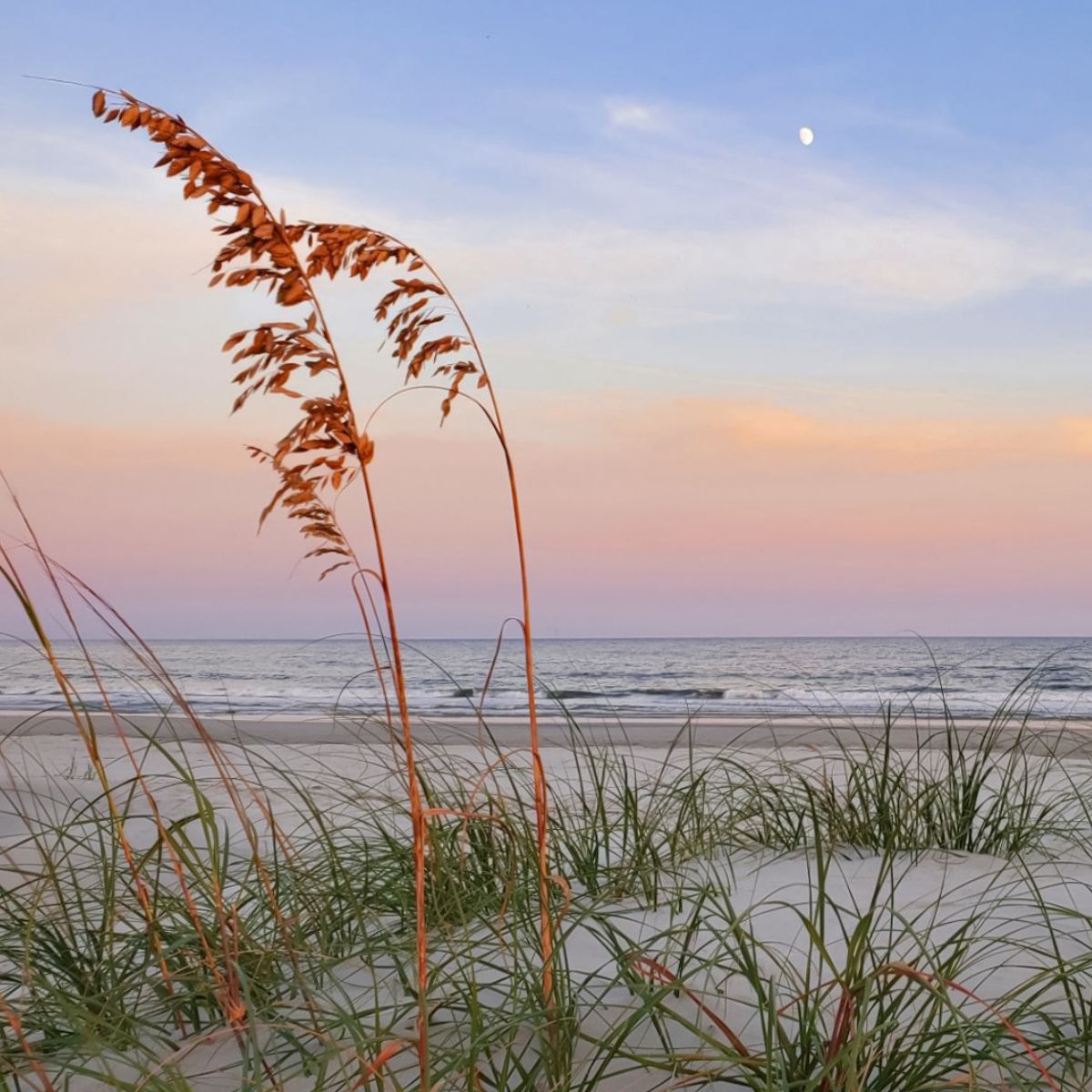 NCBI Best Beaches Campaign
