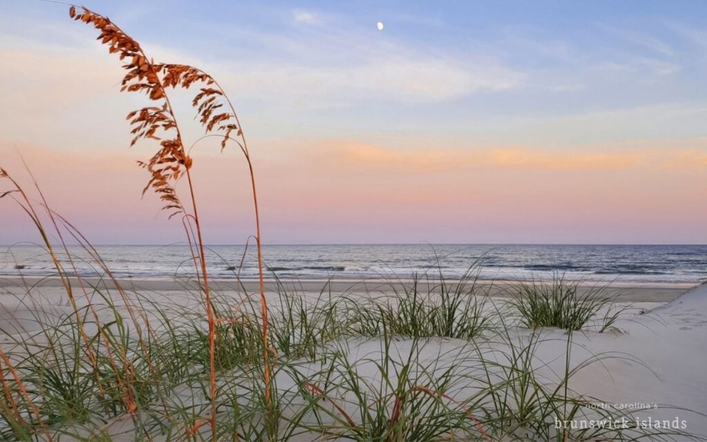 NCBI beach blogs